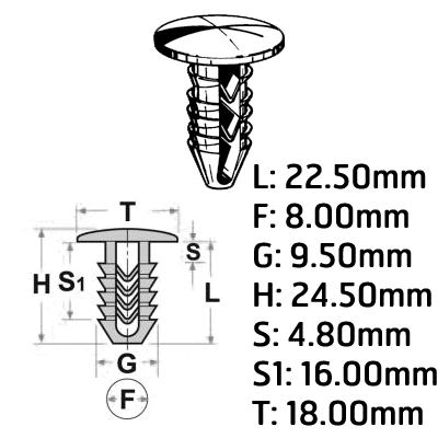 RIVETS MRN50442