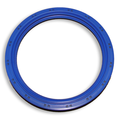 OIL SEAL RN0F80211399
