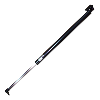 TAIL GATE LIFTER RN817804A030