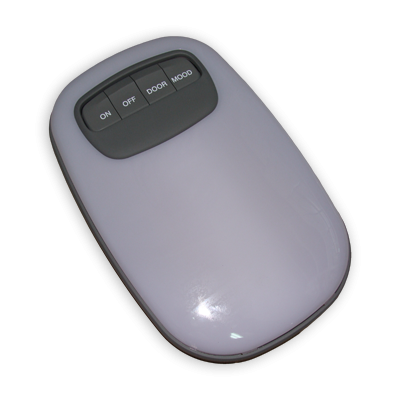 LAMP FLUORESCENT RN928004A401